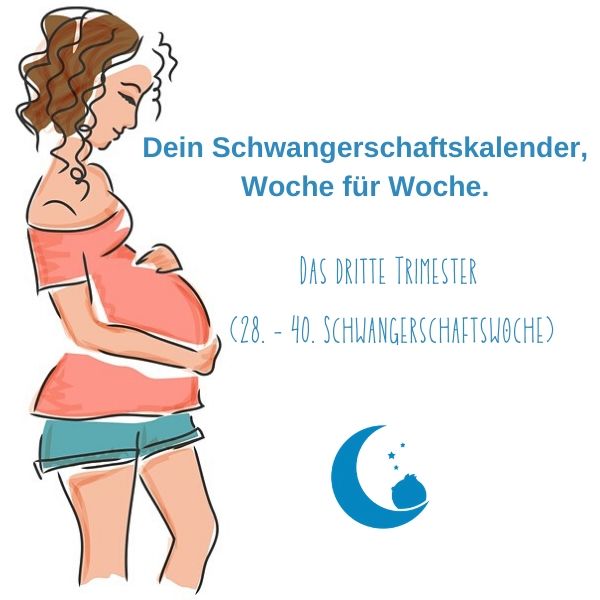 Schwangere Frau im dritten Trimester Illustration 